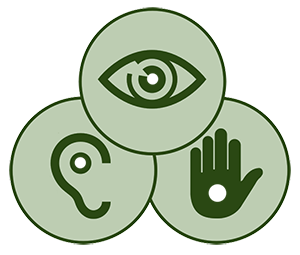 Accessibility features at AltradParts.com